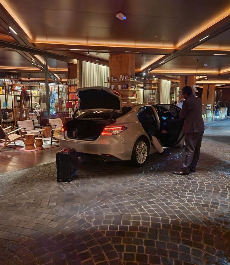 Terrestre